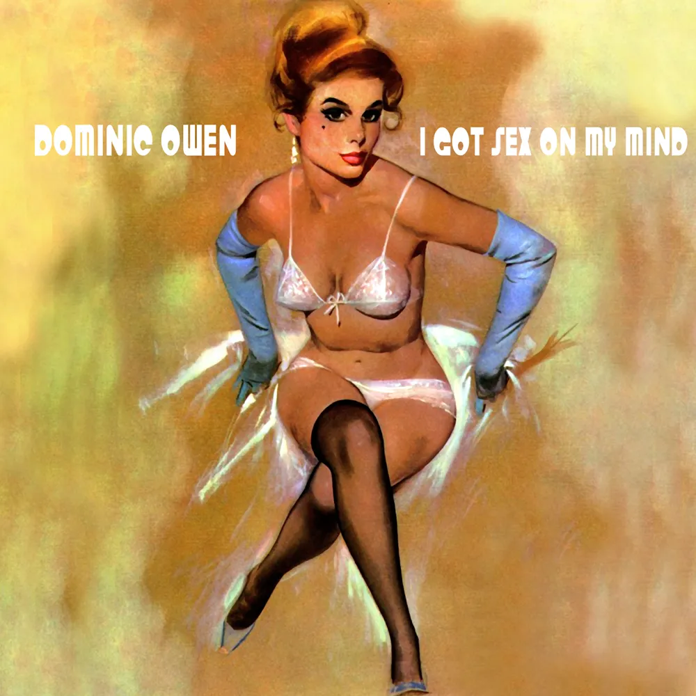 Dominic Owen - I Got Sex On My Mind. Released on Smokersblend.